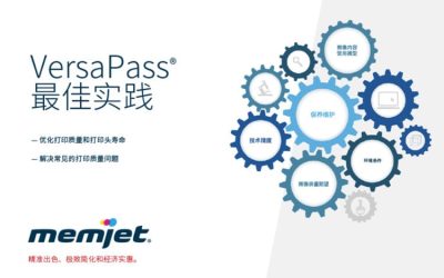 电子书：VersaPass® 最佳实践
